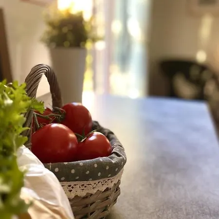 Sylva Hébergement de vacances Sarlat