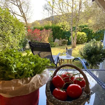 Sylva Sarlat-la-Canéda